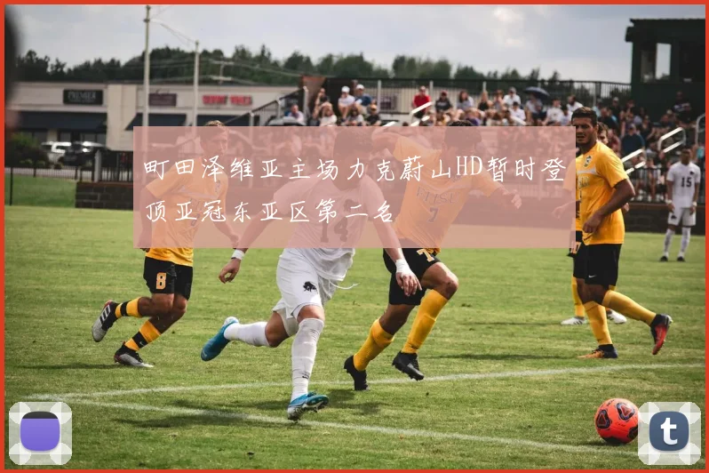 町田泽维亚主场力克蔚山HD暂时登顶亚冠东亚区第二名