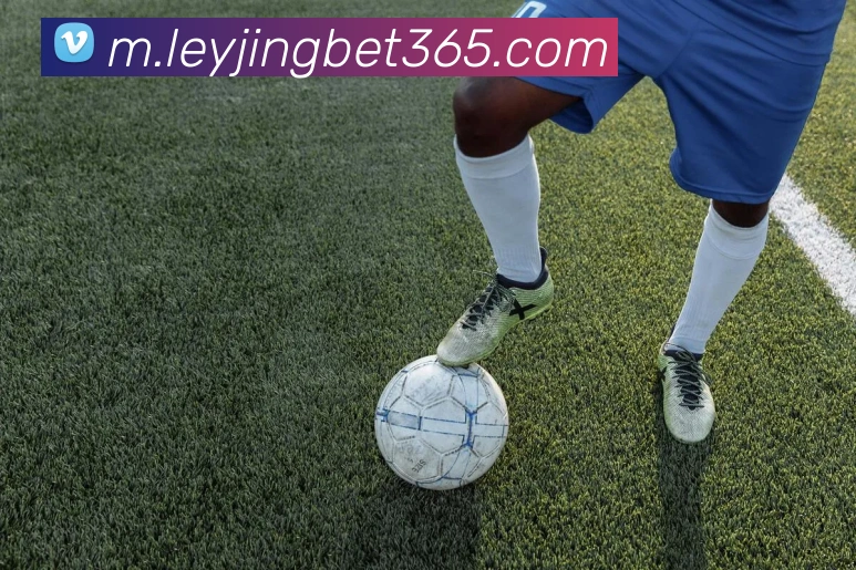 乐竟体育平台生态图