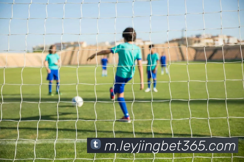 数据防护可视化